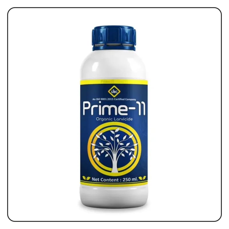 Prime 11