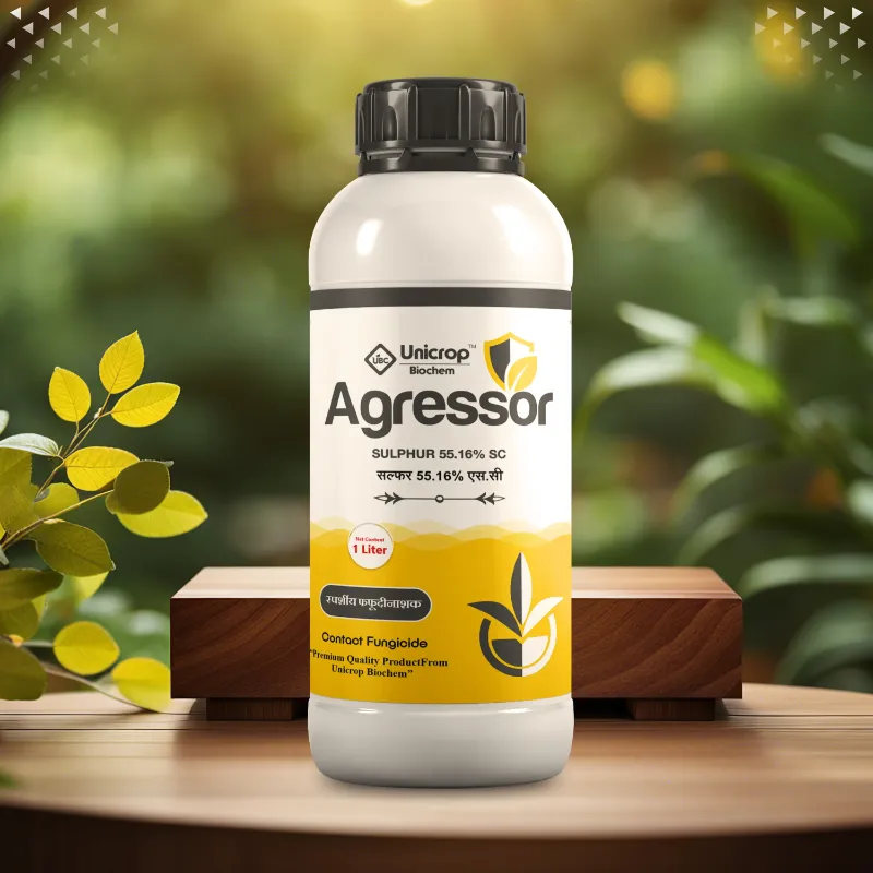 Agressor
